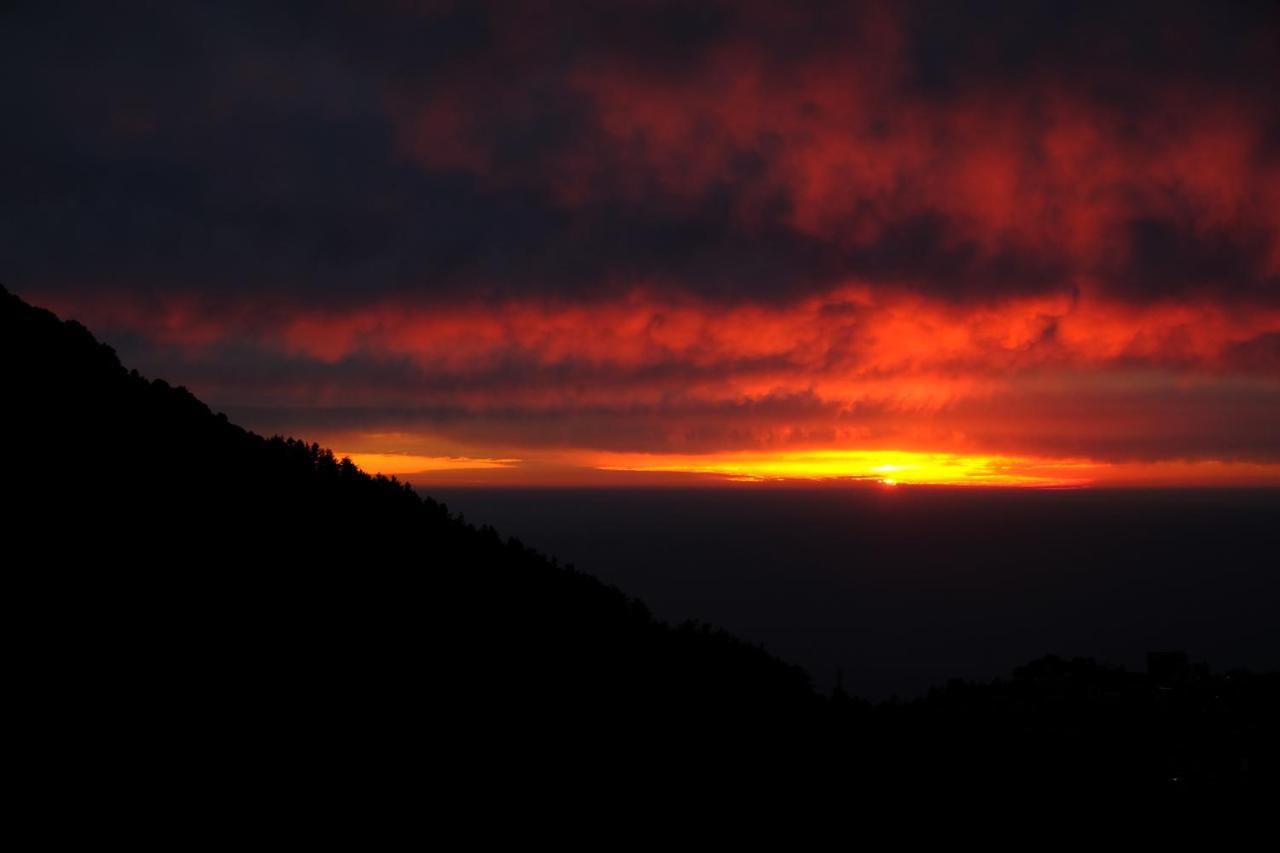 A Pousada Mitra Mcleodganj McLeod Ganj Exterior foto