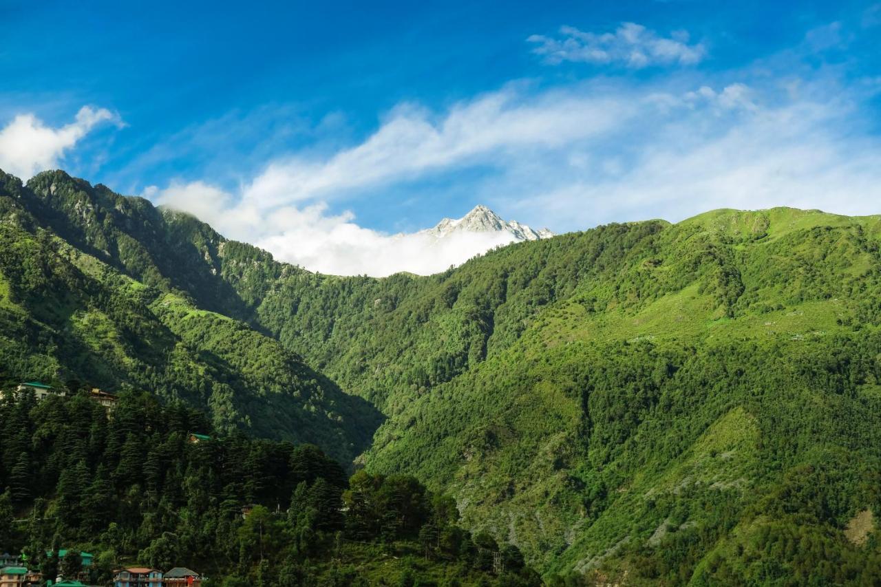 A Pousada Mitra Mcleodganj McLeod Ganj Exterior foto